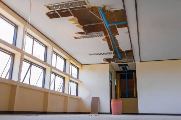 Best Flooded house restoration  in Lacey, WA