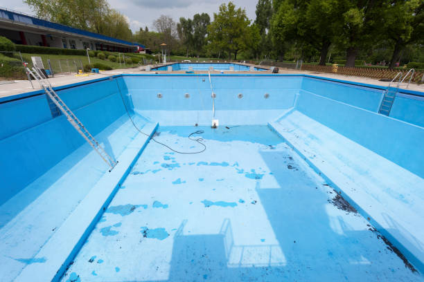 Best Carpet water damage restoration  in Lacey, WA