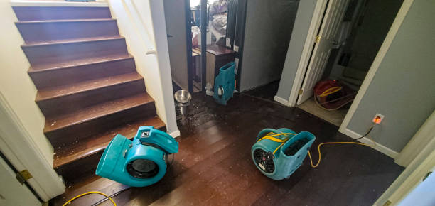 Water damage restoration mold remediation in Lacey, WA