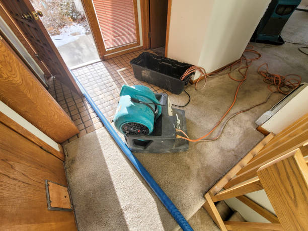 Best Commercial water damage restoration  in Lacey, WA