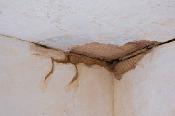 Best Water damage restoration process  in Lacey, WA