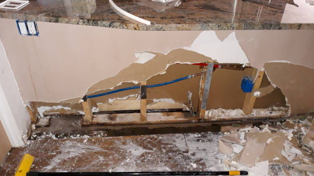 Best Water damage cleanup near me  in Lacey, WA