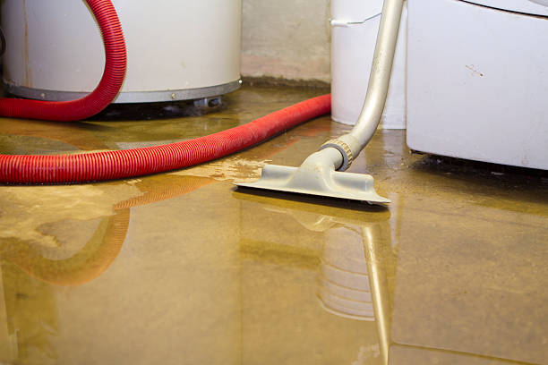 Best Water damage restoration near me  in Lacey, WA
